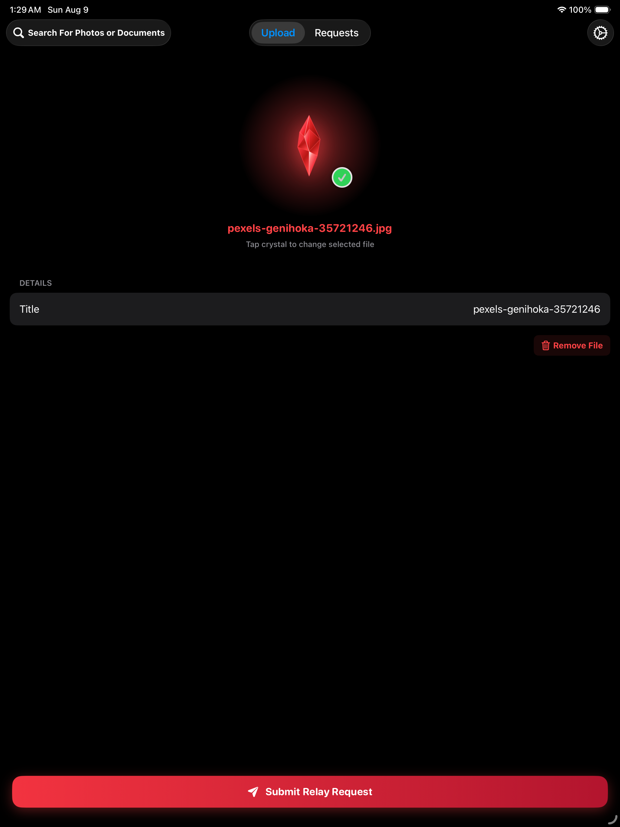 iPad Upload Manager
